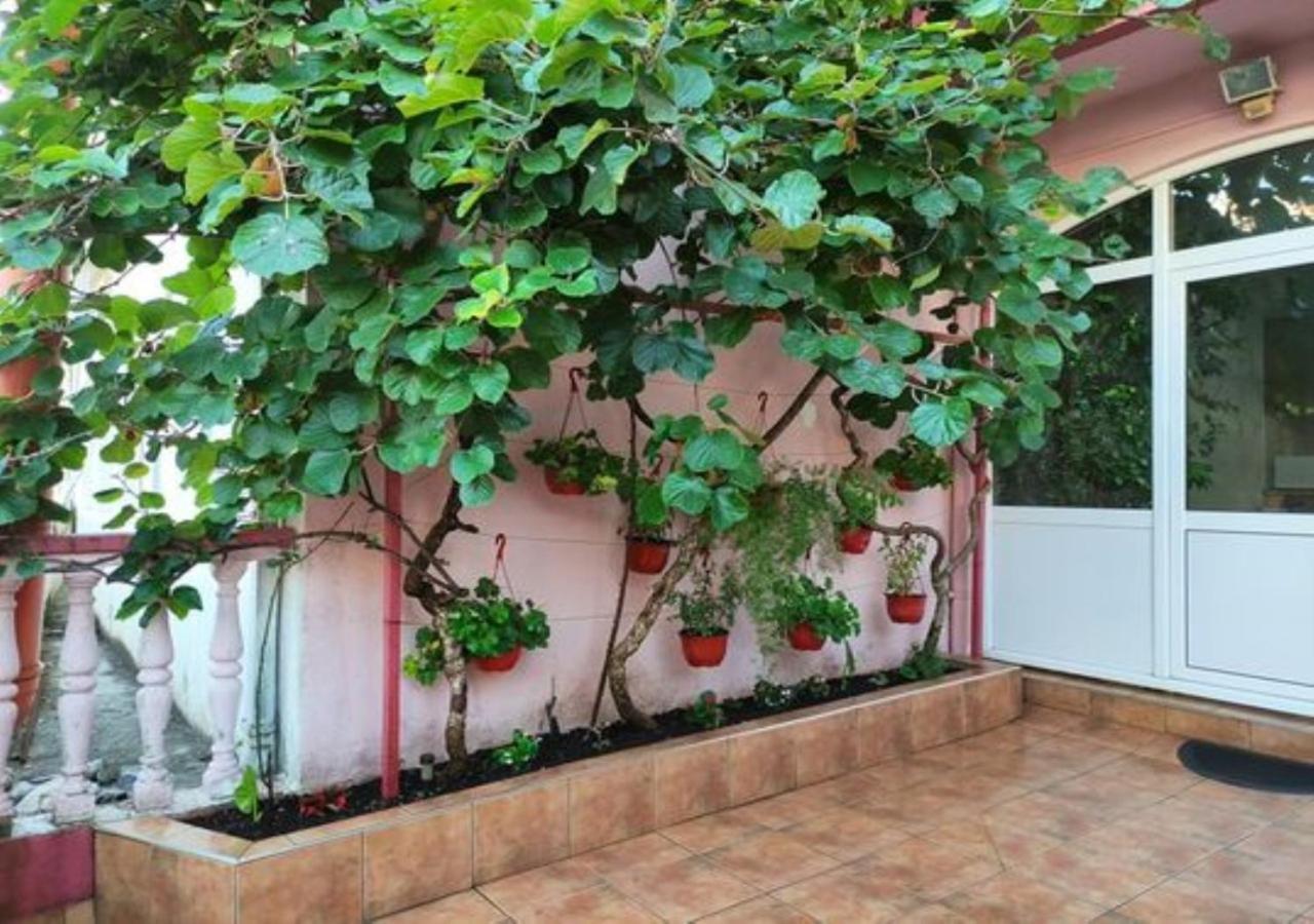 Kuljic Guest house Budva