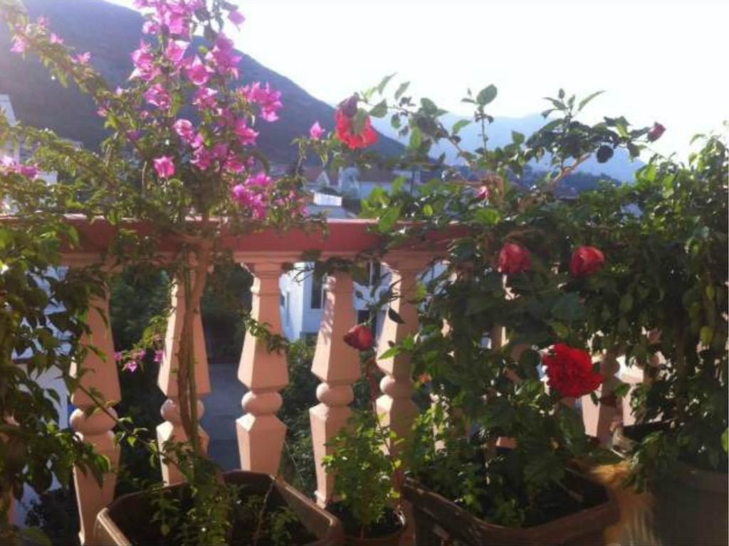 Guest house Kuljic 3*