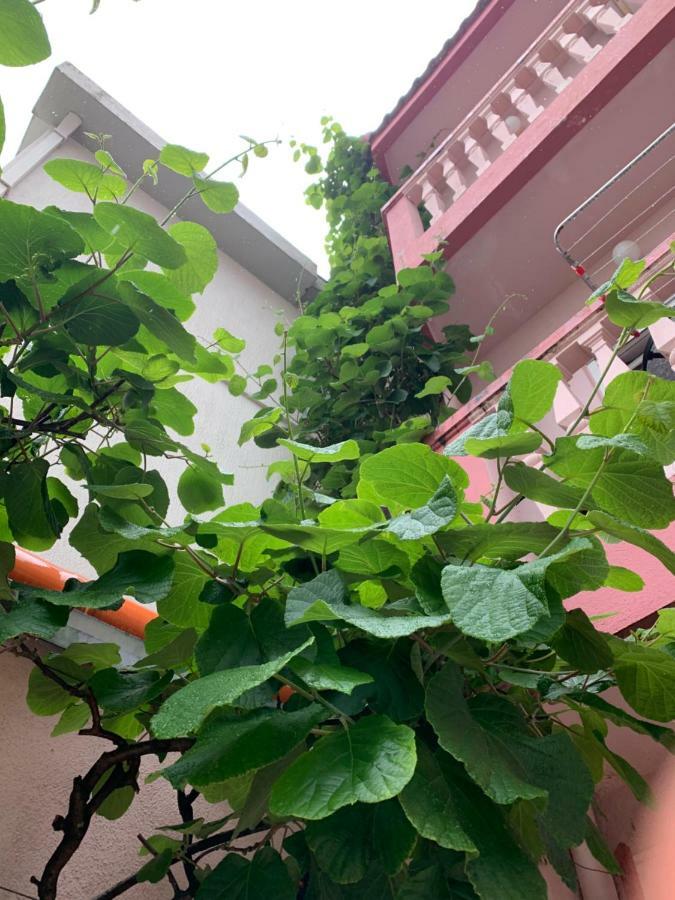 Guest house Kuljic 3*