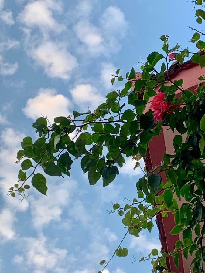 Kuljic Guest house Budva